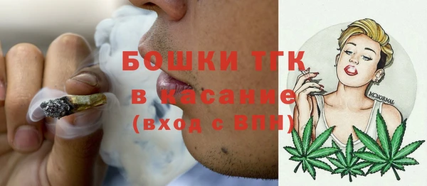 PSILOCYBIN Белокуриха
