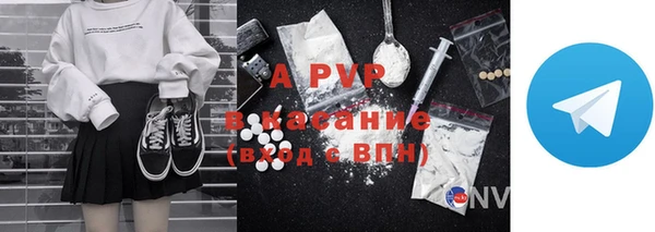 PSILOCYBIN Белокуриха