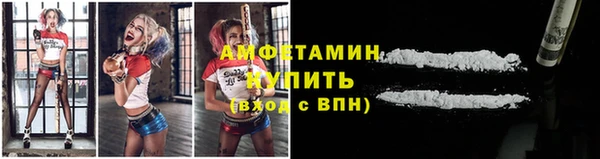 PSILOCYBIN Белокуриха