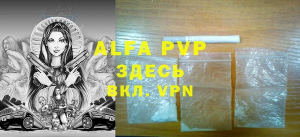 PSILOCYBIN Белокуриха