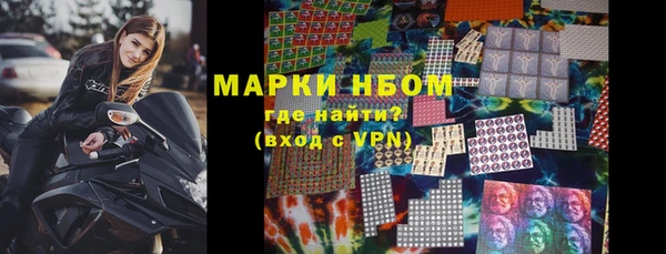PSILOCYBIN Белокуриха